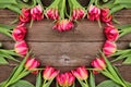 Pink tulip flower heart shaped frame against a rustic wood background Royalty Free Stock Photo