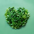 Heart-shaped green leaves Royalty Free Stock Photo