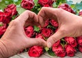Heart shaped hands above bouquet of red roses background. Royalty Free Stock Photo