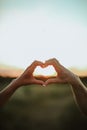 heart shaped hands of a boy and a girl in love at sunset Royalty Free Stock Photo