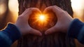 Heart-Shaped Hands Create Warm Glow on Tree Bark During Serene Sunset in Nature Royalty Free Stock Photo