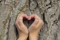 Heart-shaped hands on a tree background, the concept of love and environmental protection Royalty Free Stock Photo