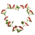 Heart Shaped Hawthorn Berry Wreath Royalty Free Stock Photo