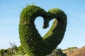 Heart shaped hedge