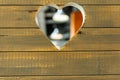 A heart-shaped hole has been carved into the wall of the boards. Lamps are visible through the hole. The door to the cafe Royalty Free Stock Photo