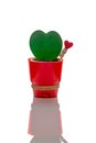 Heart-shaped hoya kerrii plant growing in red pot Royalty Free Stock Photo