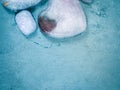 Heart shaped ice cubes with frozen cherry Royalty Free Stock Photo