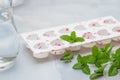 Heart shaped ice molds and fresh green mint leaves close up on light marble background. Royalty Free Stock Photo