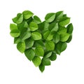 heart shaped icon made of green leaves isolated on transparent background Royalty Free Stock Photo