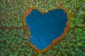 Heart shaped lake in the forest, aerial view