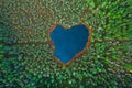 Heart shaped lake in the forest, aerial view