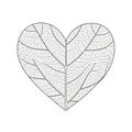 Heart-shaped leaf design with intricate vein patterns on a white backgroun Royalty Free Stock Photo