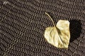 Heart shaped leaf on hammock Royalty Free Stock Photo