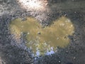 Heart Shaped Mud Puddle