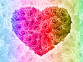 Heart shaped multi colored rose on multi colored rose background, nature, valentine, love,template,copy space