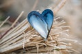 Heart shaped mussel shell