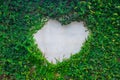 Heart shaped plant on Wall Royalty Free Stock Photo