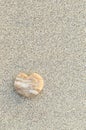 Heart shaped pebble on the beach Royalty Free Stock Photo