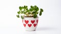 Heart-shaped plant pot, a love-themed addition to your decor.AI Generated