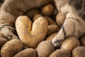 Heart-shaped potato and pile of raw potatoes Royalty Free Stock Photo