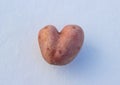 Heart-shaped potato on sparkling snow. Red potato in the shape of a heart on a white background. Potatoes close-up, isolate, place