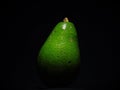 Close-Up of Bright Green Avocado 