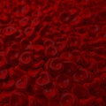 Heart shaped red blood cells Royalty Free Stock Photo