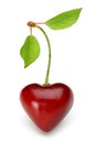 Heart shaped red cherry with stalk and green leaves on white background Royalty Free Stock Photo