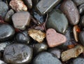 Heart Shaped Rock In Wet Rocks