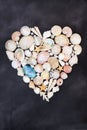 Heart Shaped Sea Shell Wreath for Valentines Day Royalty Free Stock Photo