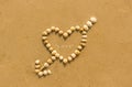 Heart shaped shells Royalty Free Stock Photo