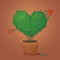 Heart shaped shrub with an arrow. Decorative potted plant. Love, health, ecology, conservation symbol. Valentine`s day card