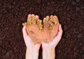 Heart-Shaped Sprouting Potato Held in Hands on Soil Background