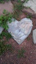 Heart-shaped stone, Estes Park Colorado