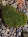 A heart-shaped stone