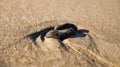 heart-shaped stone in the sand of the beach on the Baltic Sea Royalty Free Stock Photo