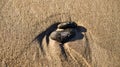 heart-shaped stone in the sand of the beach on the Baltic Sea Royalty Free Stock Photo