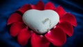 Heart-Shaped Stone Surrounded by Red Petals Royalty Free Stock Photo
