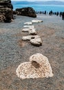 Heart shaped stones on a beach iat the Sea of Galilee