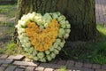 Sympathy flowers near a tree Royalty Free Stock Photo