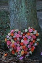 Heart shaped sympathy wreath near a tree Royalty Free Stock Photo