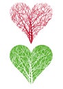 Heart shaped tree Royalty Free Stock Photo