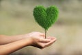 Heart shaped tree in human hand Royalty Free Stock Photo