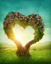 Heart shaped tree Royalty Free Stock Photo