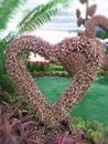 Heart shaped tree. for valentine day.