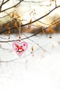 Heart shaped Valentines or Christmas decoration toy hanging on the tree branch with snow on the background Royalty Free Stock Photo
