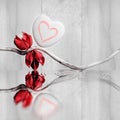 Heart-shaped white pebble with red flowers and reflections Royalty Free Stock Photo