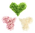 Heart shapes made of cut vegetables Royalty Free Stock Photo