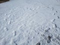 Heart Snowy footprints