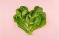 Heart of spring healthy food - fresh green leaves spinach on pink background.